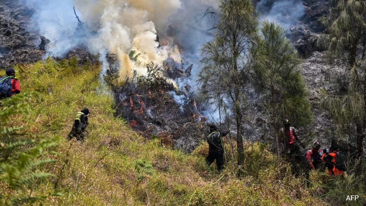 Story Summary